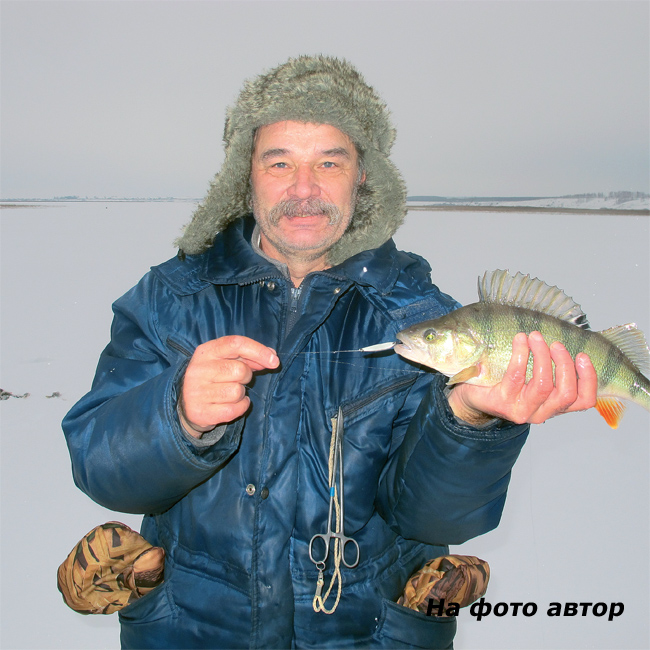 Трилогия о горбаче 43-водны мир.jpg