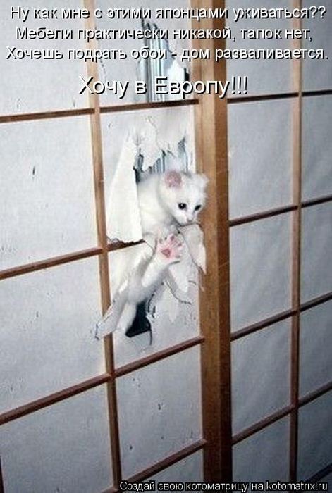 Мысли вслух :)