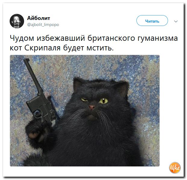 Злобные (сарказм) комментарии о последних событиях в мире Злобные (сарказм) комментарии о последних событиях в мире