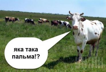 ЦЕНА ЗА БЕЗВИЗ
