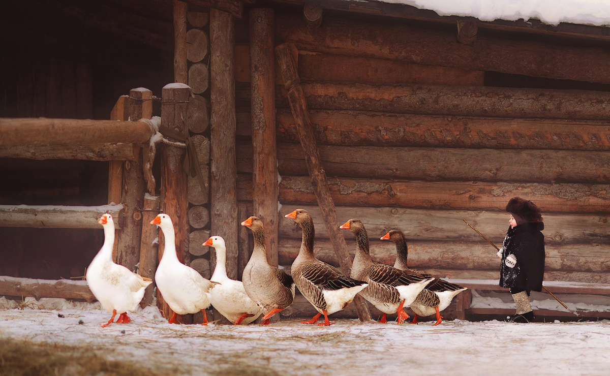 «Репортажная съемка» нашей премии Family Russian Photo Awards