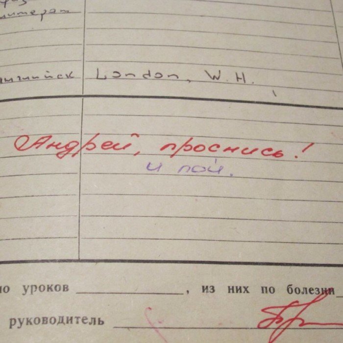 15 замечаний в школьных дневниках, от которых у родителей волосы встают дыбом 15 замечаний в школьных дневниках, от которых у родителей волосы встают дыбом