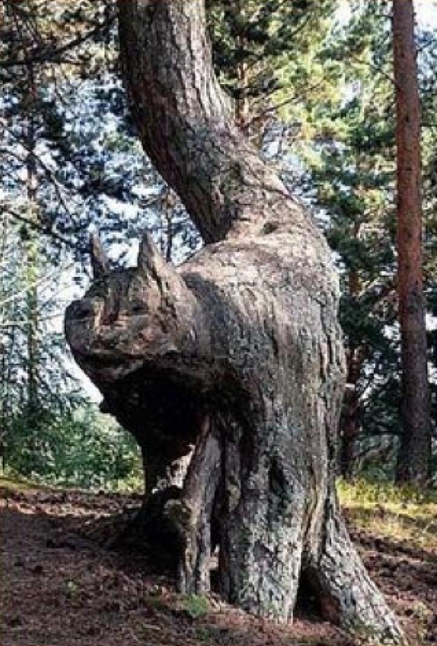 Гамак на дерево 127