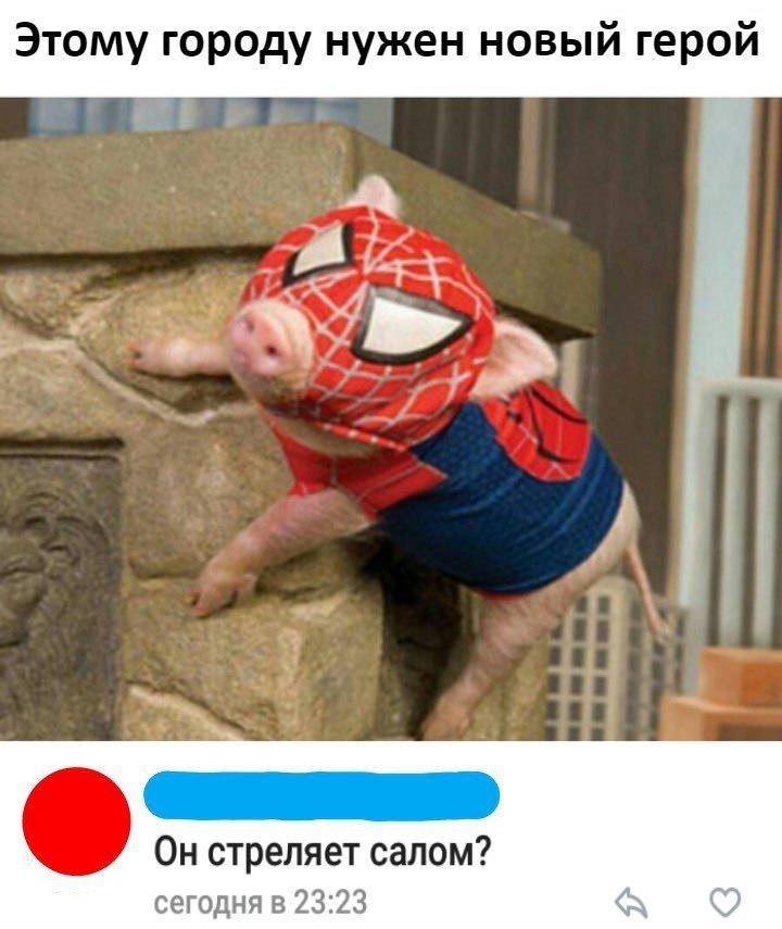 Комментарии из сети Комментарии из сети