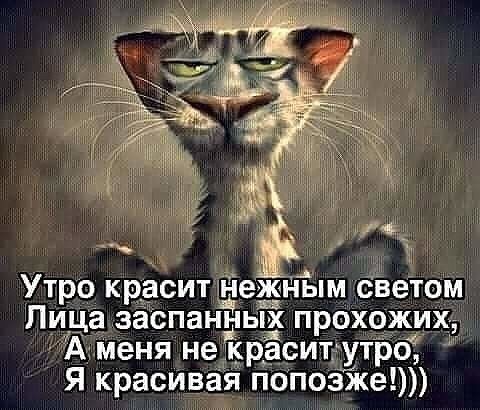 Юмор, который заряжает позитивом и щекочет интеллект