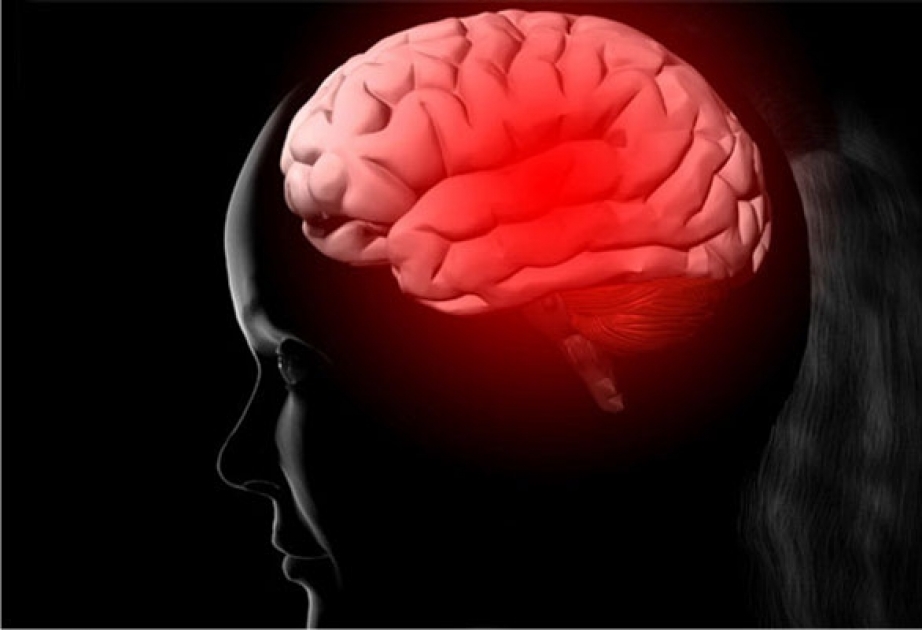 Скрытый в мозге сигнал может выявить болезнь Альцгеймера задолго до ее начала