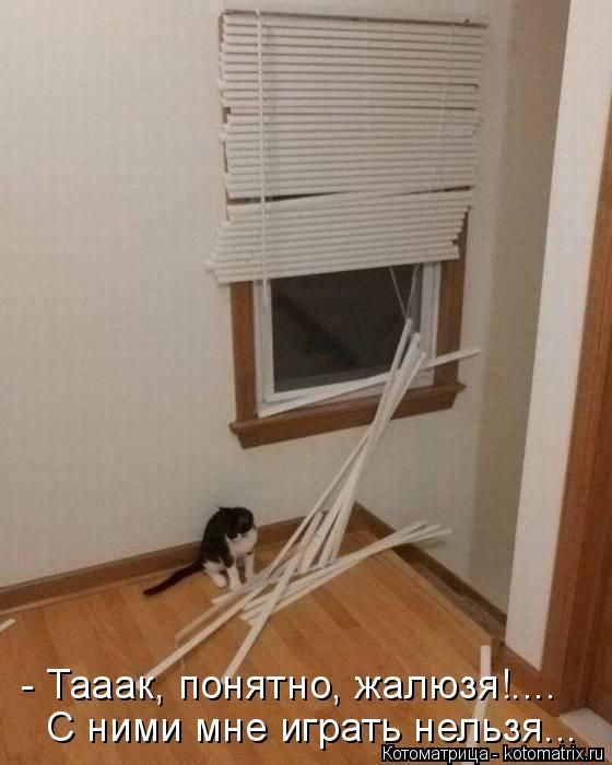 Лучшие котоматрицы, которые зарядят вас позитивом) Лучшие котоматрицы, которые зарядят вас позитивом)