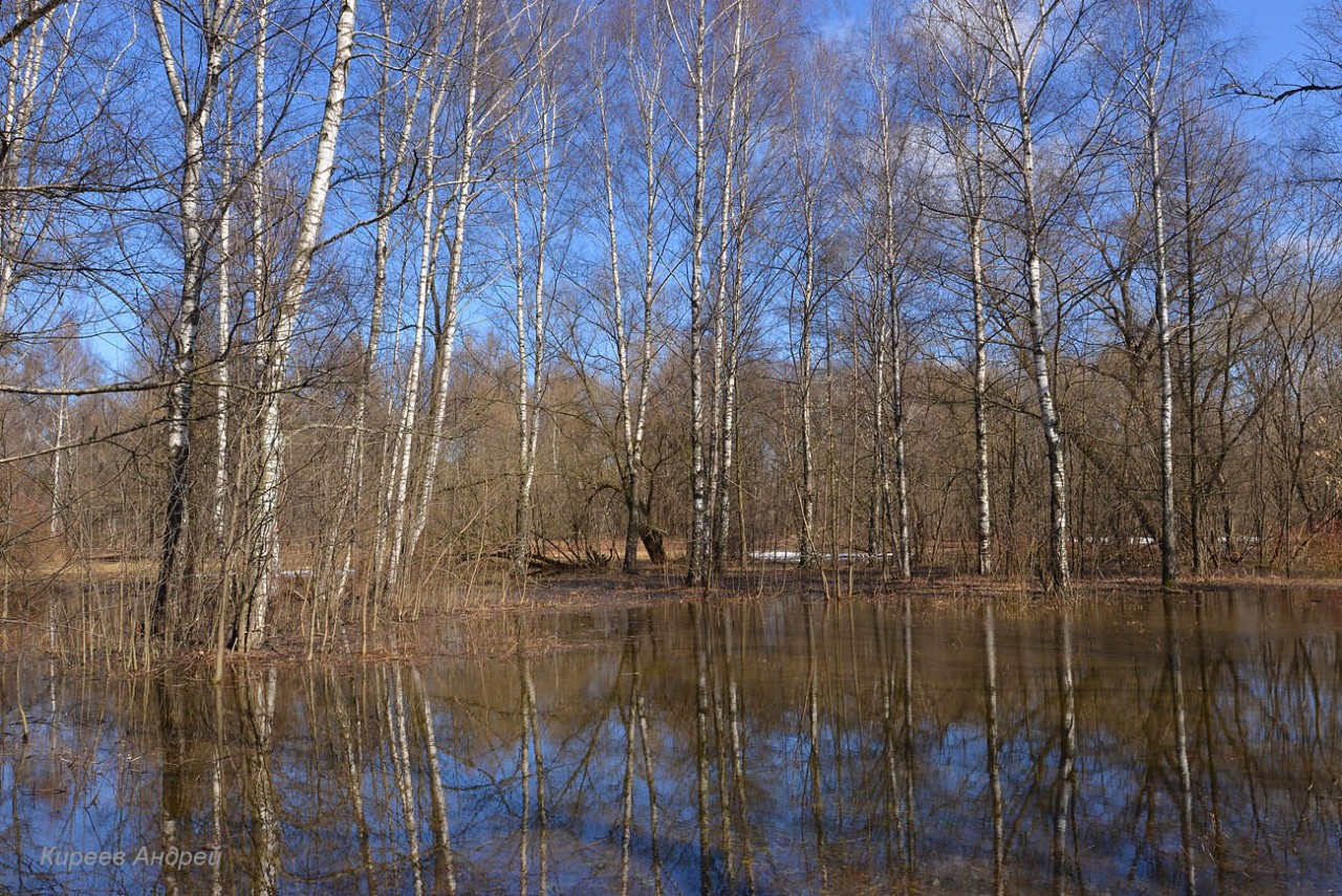 DSC_8234копия.jpg DSC_8234копия.jpg