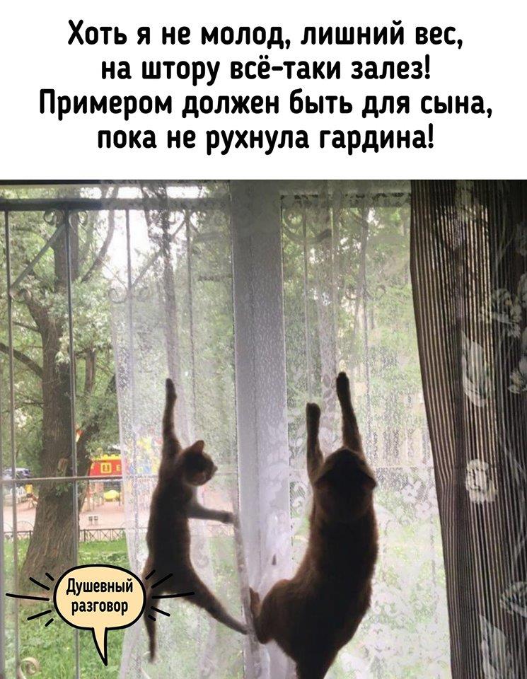 РАЗГРУЗОЧНЫЙ ДЕНЬ. (весёлая подборка картинок)))