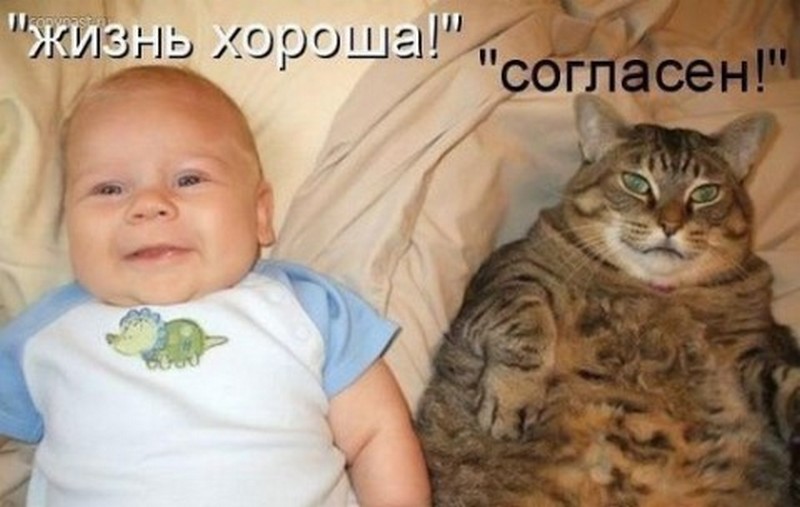 ПЕРЛЫ ДЕТЕЙ И ИХ РОДИТЕЛЕЙ. ПЕРЛЫ ДЕТЕЙ И ИХ РОДИТЕЛЕЙ.