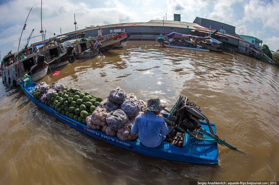 Vietnam