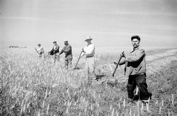Фото использовано в качестве иллюстрации. Источник:Яндекс