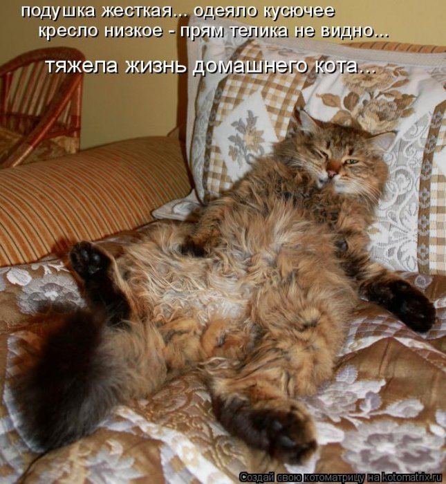 Мысли вслух :)