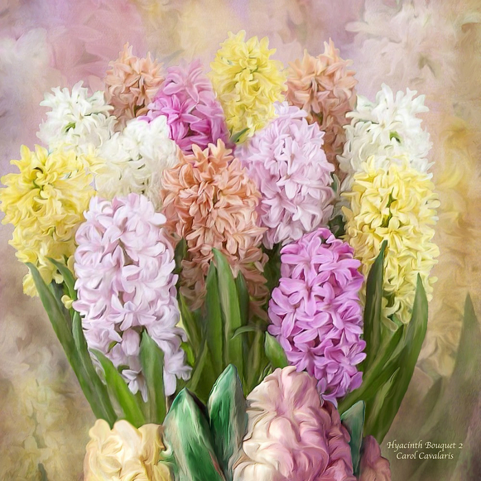 Hyacinth Bouquet 2 (700x700, 565Kb)