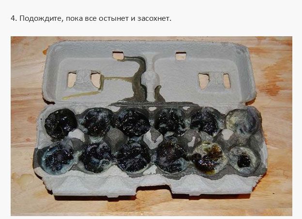 Полезные советы для путешественников Полезные советы для путешественников интересно, путешествия, советы