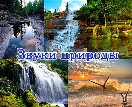 ������������ (������������� ������� �  ������).