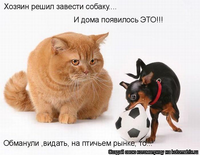 Мысли вслух :)