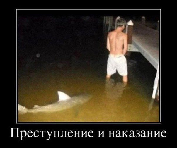 РАЗГРУЗОЧНЫЙ ДЕНЬ. (весёлая подборка картинок)))
