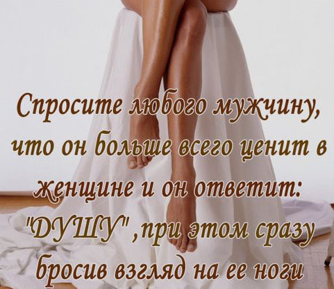 88612276_f248df99c118b72d41b48832c8a00613_800 (481x416, 119Kb)