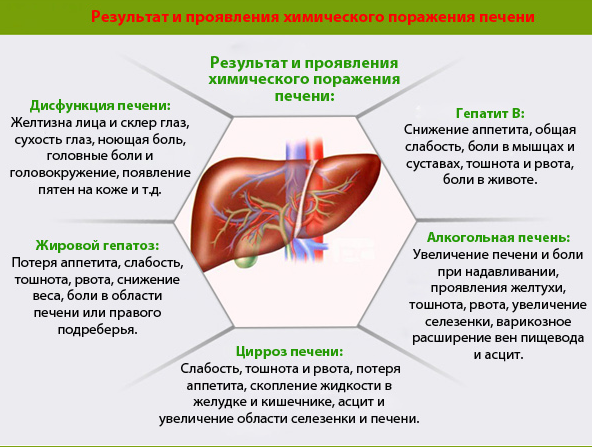 Увеличена Печень Причины И Лечение Диета