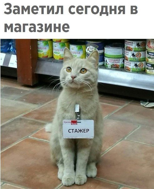 Юмор из интернета 136 Юмор из интернета 136