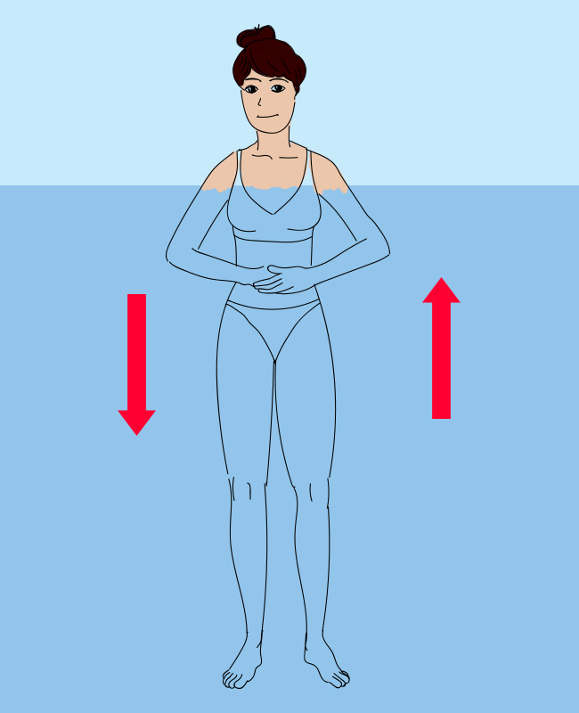 ���������� � ����