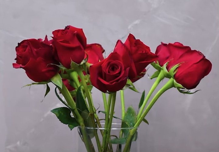 Необычные и полезные идеи в помощь хозяйке