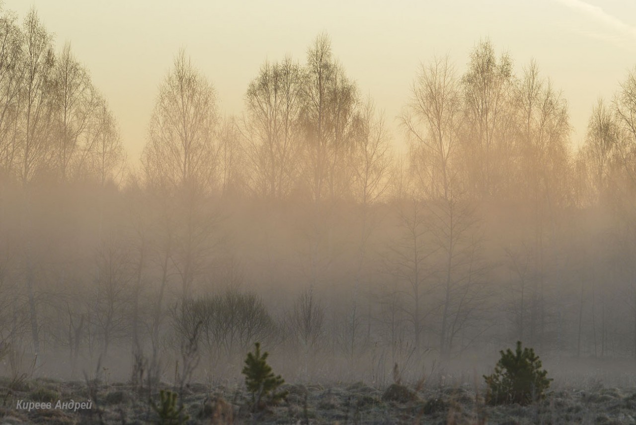 DSC_7996копия.jpg DSC_7996копия.jpg