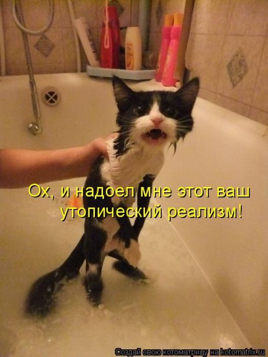 Лучшие котоматрицы, которые зарядят вас позитивом) Лучшие котоматрицы, которые зарядят вас позитивом)