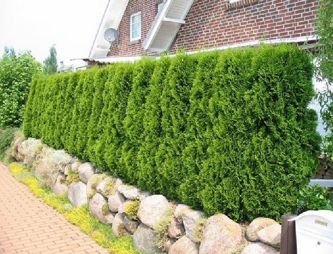 �������� �� ������� ������� �����