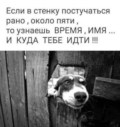 Мартомасленое Мартомасленое