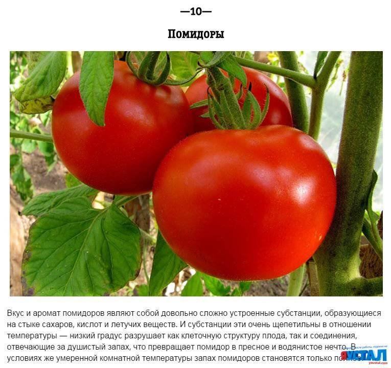 ПРОДУКТЫ, КОТОРЫЕ НЕЛЬЗЯ ХРАНИТЬ В ХОЛОДИЛЬНИКЕ