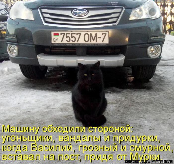 Лучшие котоматрицы, которые зарядят вас позитивом) Лучшие котоматрицы, которые зарядят вас позитивом)
