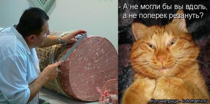 Лучшие котоматрицы, которые зарядят вас позитивом) Лучшие котоматрицы, которые зарядят вас позитивом)