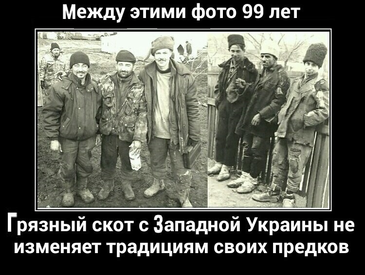 Украинский политик: Берия оказался прав, Галичину присоединять было нельзя
