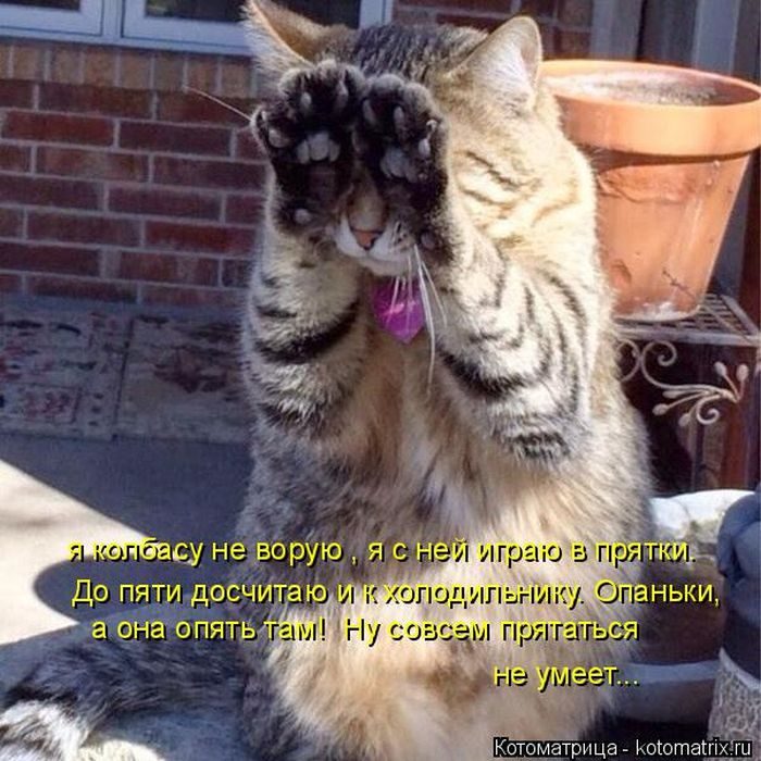 Лучшие котоматрицы, которые зарядят вас позитивом) Лучшие котоматрицы, которые зарядят вас позитивом)