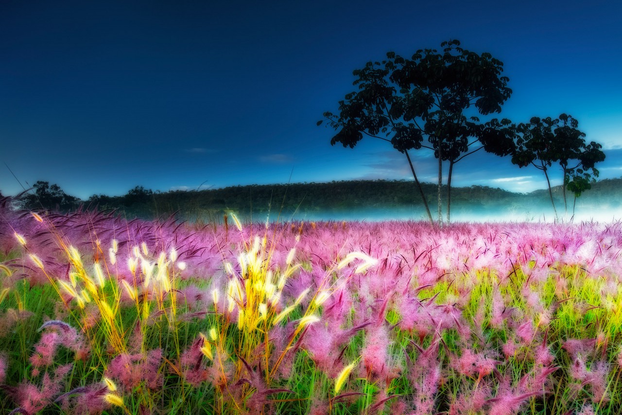Лучший садово-парковый фотограф в конкурсе International Garden Photographer of the Year 2018