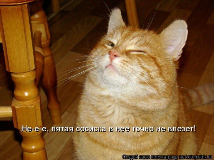 Мысли вслух :)
