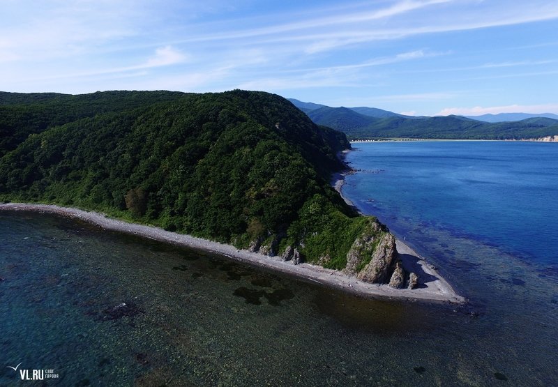 Приморский край- остров Петрова, Тисовая роща Приморский край, Тисовая роща, остров Петрова, россия