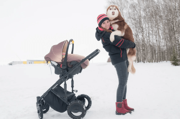 Девочка родилась и растет в стае хаски. Это удивительно!