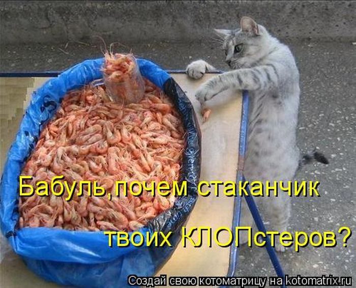 Лучшие котоматрицы, которые зарядят вас позитивом) Лучшие котоматрицы, которые зарядят вас позитивом)