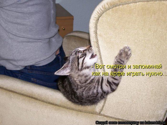 Мысли вслух :)