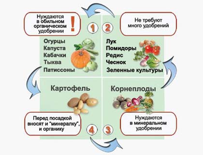 схема севооборота на участке