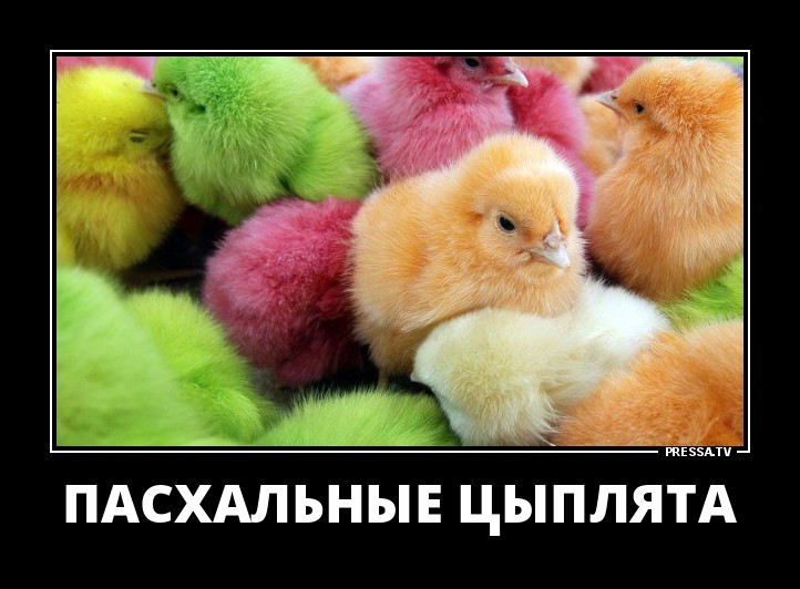 Демотиваторы, мно-о-о-ого, отличной подборочкой для зарядки позитивом на весь день! Демотиваторы, мно-о-о-ого, отличной подборочкой для зарядки позитивом на весь день!
