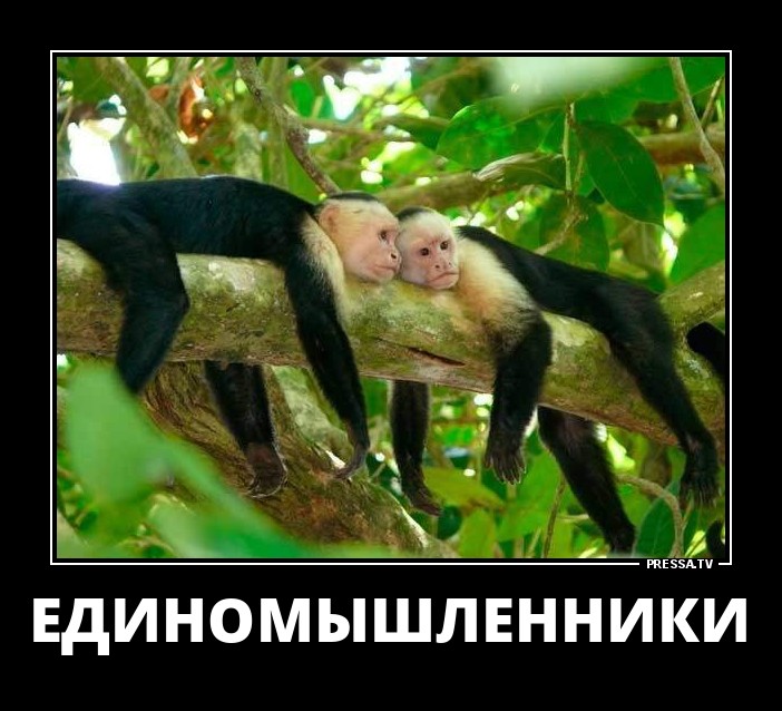 Демотиваторы отличной подборочкой для зарядки позитивом на весь день! Демотиваторы отличной подборочкой для зарядки позитивом на весь день!