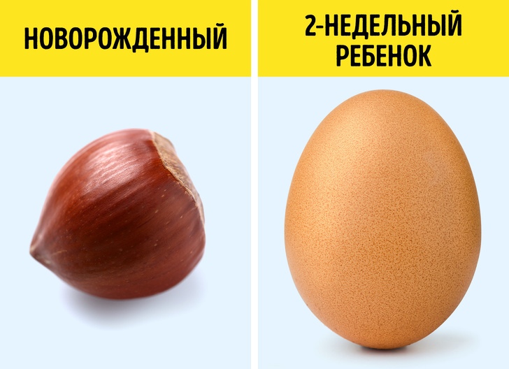 10 фактов, доказывающих, что младенцы обладают силой, которая и не снилась супергероям 10 фактов, доказывающих, что младенцы обладают силой, которая и не снилась супергероям