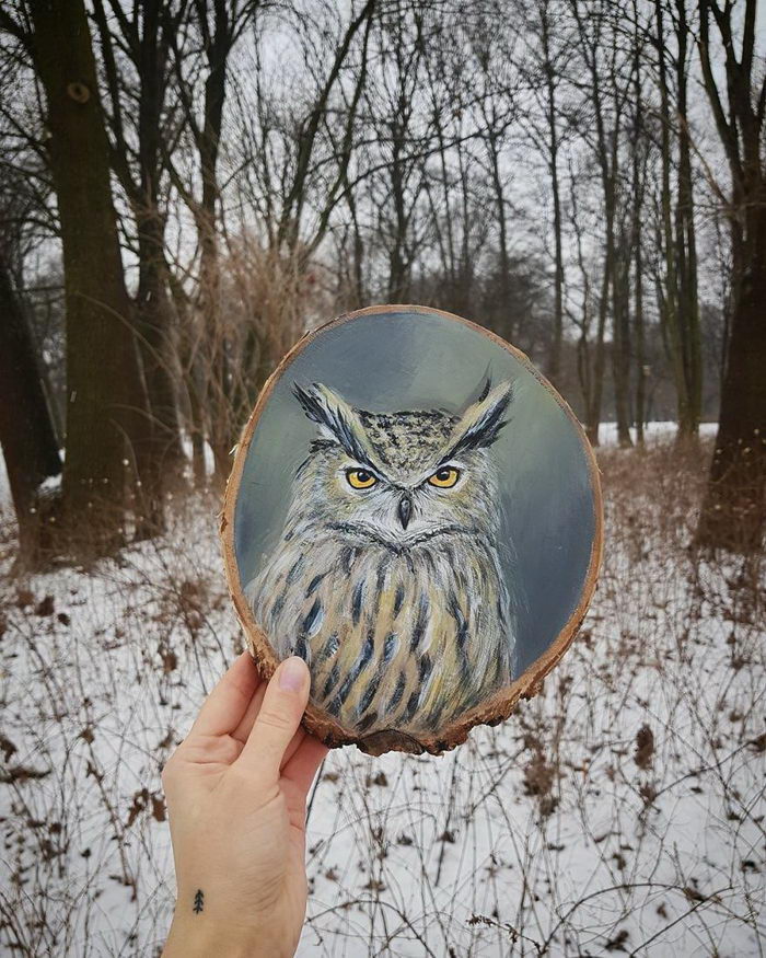 Рисунки на деревянных спилах Forest Design Рисунки на деревянных спилах Forest Design