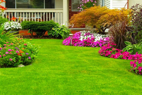 https://fhcdnarticles-a.akamaihd.net/1613153/thumb_585.jpg