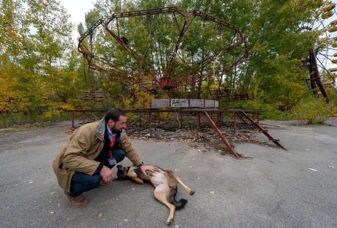 Лучи доброты: ученый из США пожертвовал карьерой ради спасения брошенных собак в Чернобыле
