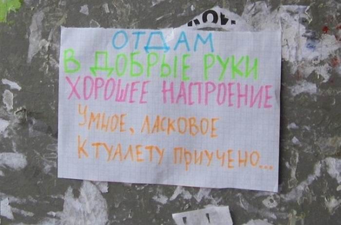 Маразмы Маразмы